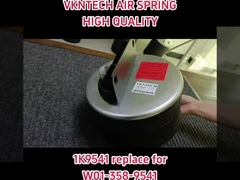 Air Suspension Springs 1K9541 REPALCE FOR  W01-358-9541